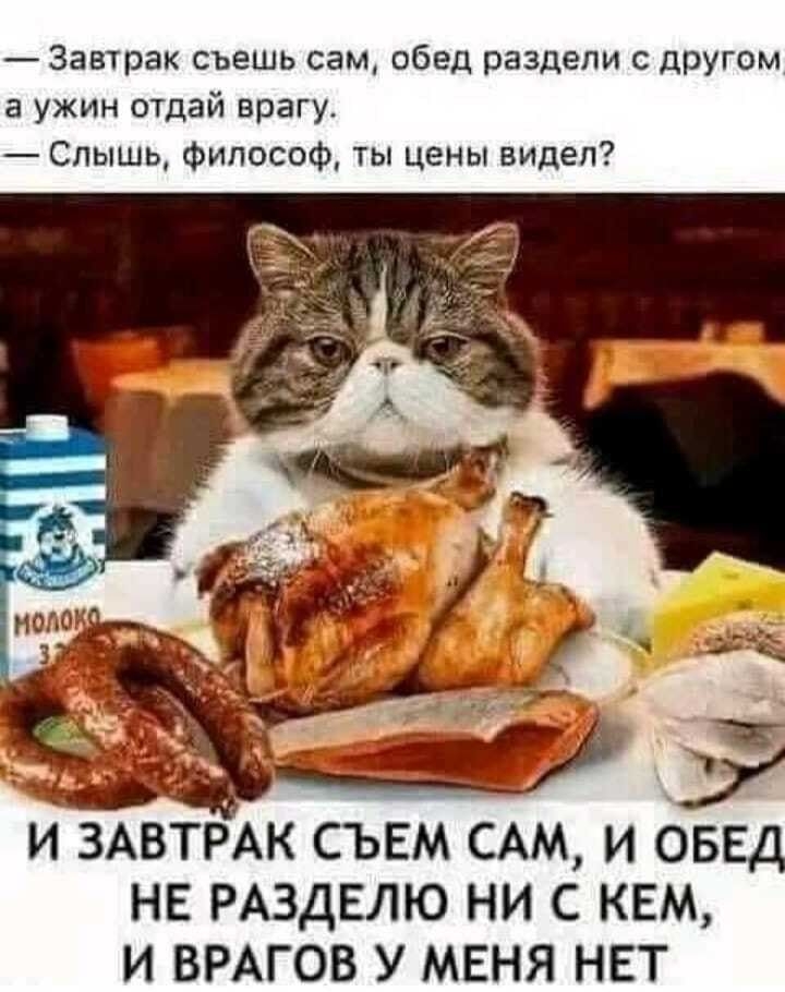 — Завтрак съешь сам, обед раздели с другом, а ужин отдай врагу.
— Слышь, философ, ты цены видел?
И завтрак съедим сам, и обед не разделю ни с кем, и врагов у меня нет.
