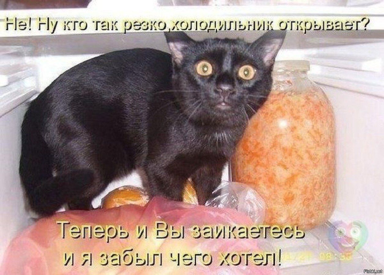 Не! Ну кто так резко холодильник открывает? Теперь и Вы заикаетесь и я забыл чего хотел!