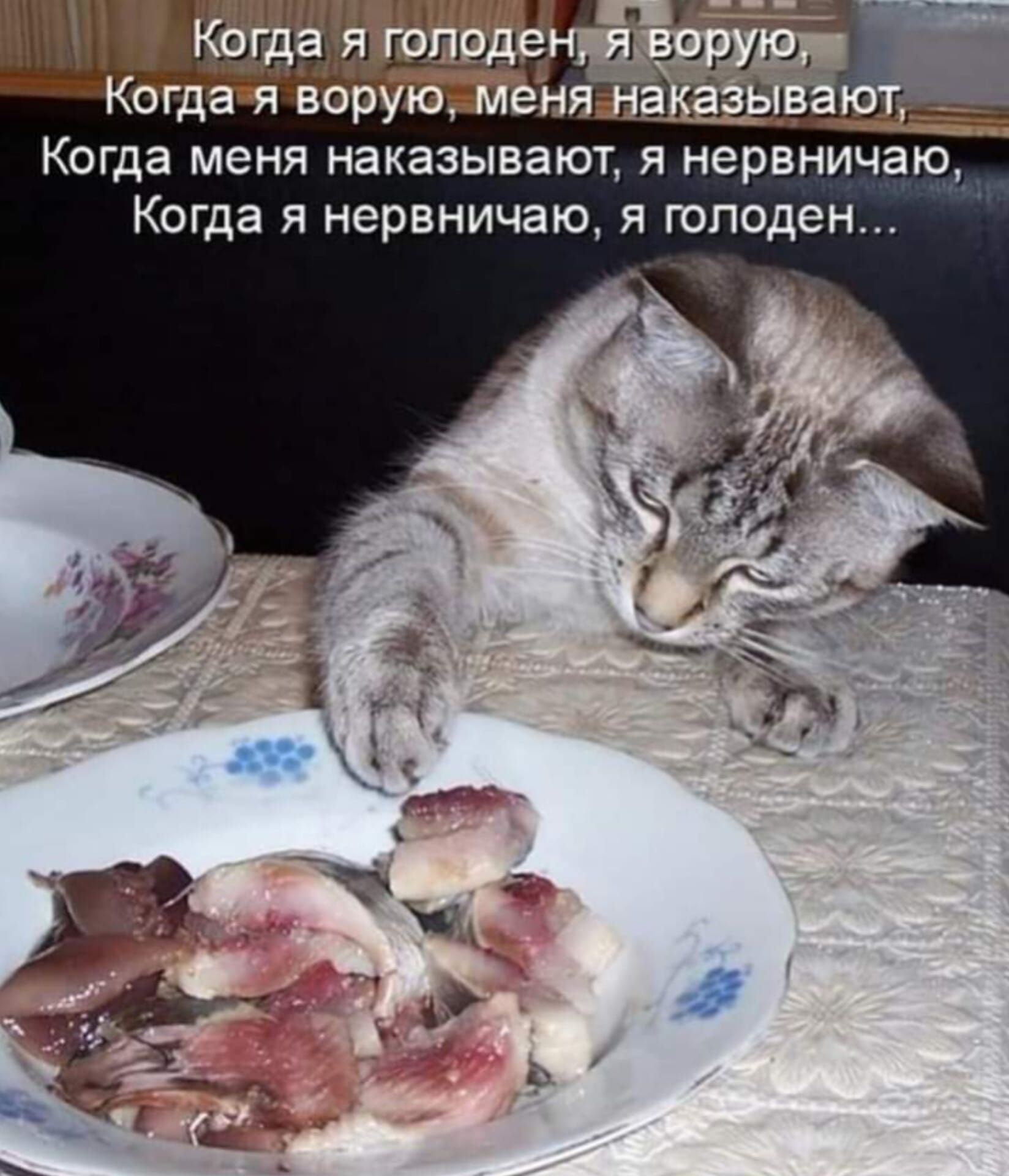 Когда я голоден, я ворую, Когда я ворую, меня наказывают, Когда меня наказывают, я нервничаю, Когда я нервничаю, я голоден...