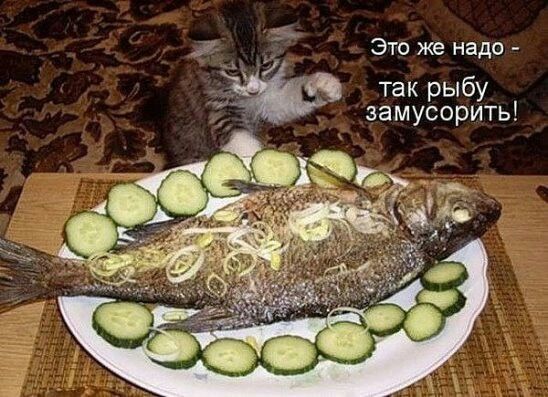 Это же надо - так рыбу замусорить!