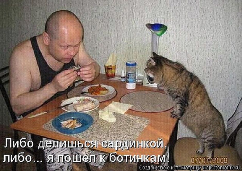 Либо делишься сардинкой, либо... я пошел к ботинкам!