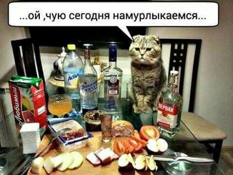 ...ой, чую сегодня намурлыкаемся...