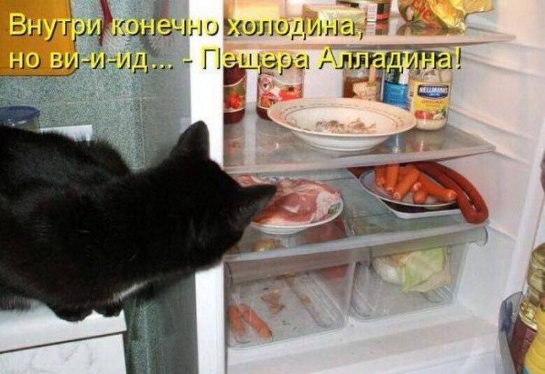 Внутри конечно холодина, но ви-и-ID... - Пещера Алладина!