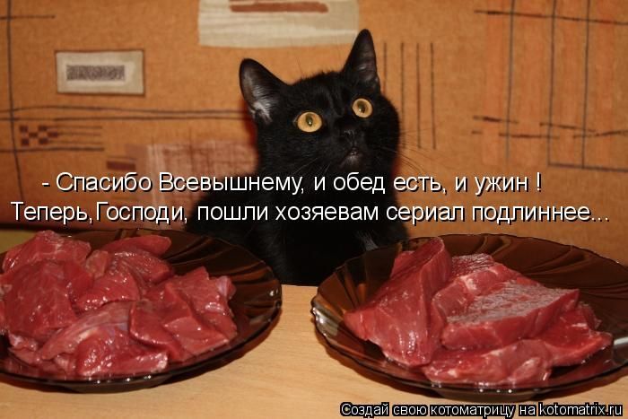 - Спасибо Всевышнему, и обед есть, и ужин! Теперь, Господи, пошли хозяевам сериал подлиннее...