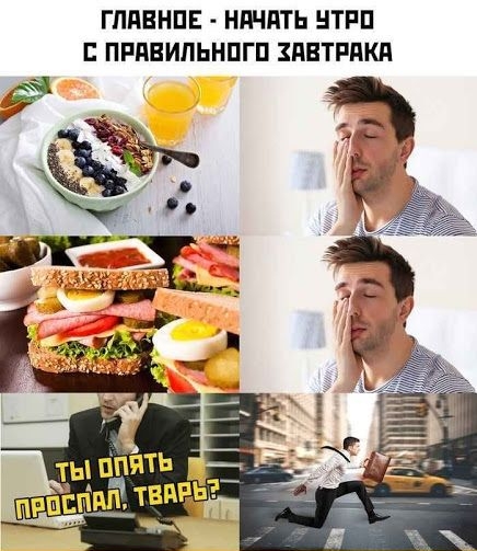 ГЛАВНОЕ - НАЧАТЬ УТРО С ПРАВИЛЬНОГО ЗАВТРАКА

Ты опять проспал, тварь?