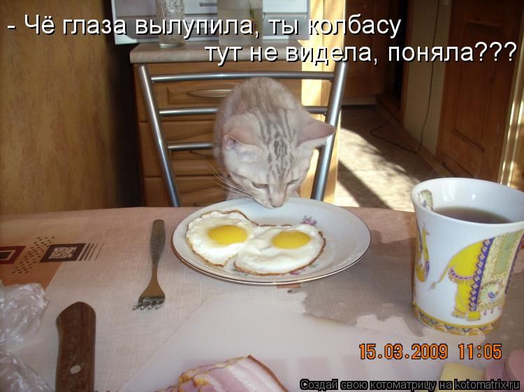 - Чё глаза вылупила, ты колбасу тут не видела, поняла???