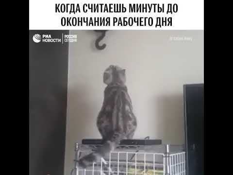 КОГДА СЧИТАЕШЬ МИНУТЫ ДО ОКОНЧАНИЯ РАБОЧЕГО ДНЯ