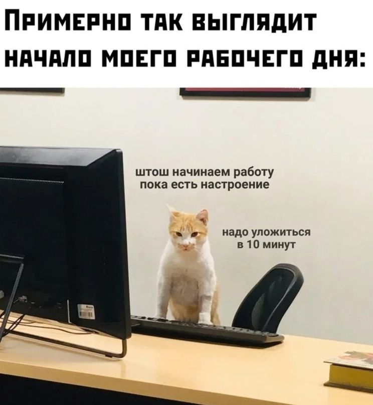 Примерно так выглядит начало моего рабочего дня:
штош начинаем работу пока есть настроение
надо уложиться в 10 минут