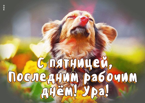 С пятницей, Последним рабочим днём! Ура!