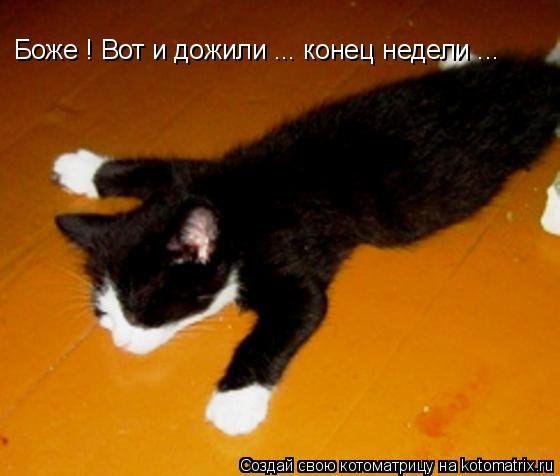 Боже ! Вот и дожили ... конец недели ...