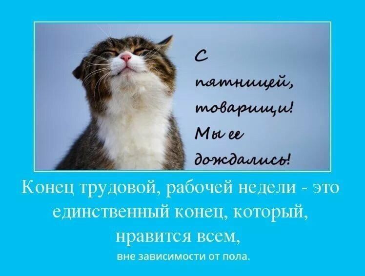 С праздником, товарищи! Мы её дождались! Конец трудовой, рабочей недели - это единственный конец, который, нравится всем, вне зависимости от пола.
