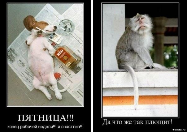 ПЯТНИЦА!!! конец рабочей недели!!! я счастлив!!! Да что же так плошщит!
