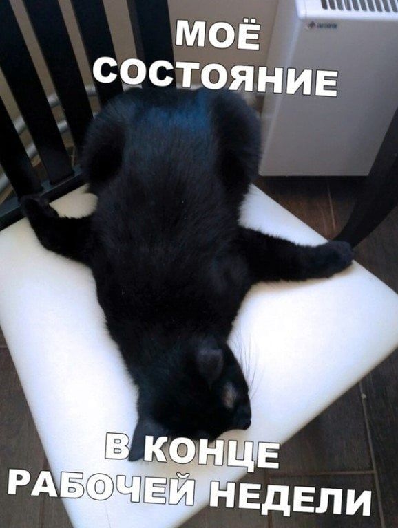 МОЁ СОСТОЯНИЕ В КОНЦЕ РАБОЧЕЙ НЕДЕЛИ