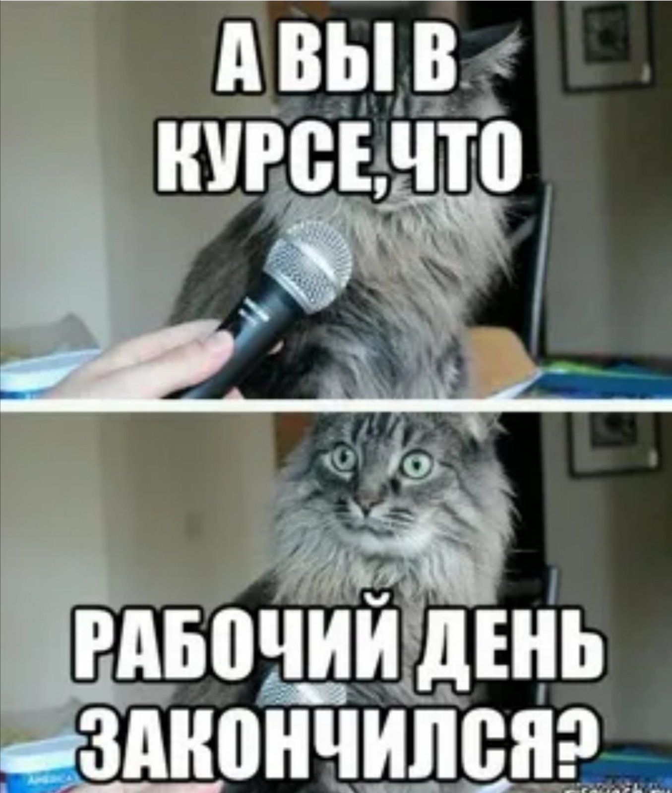 А ВЫ В КУРСЕ, ЧТО РАБОЧИЙ ДЕНЬ ЗАКОНЧИЛСЯ?