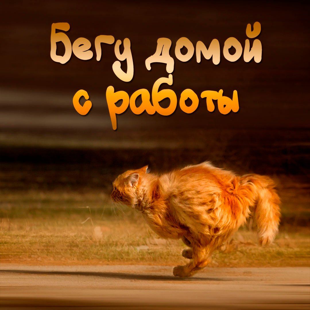 Бегу домой с работы