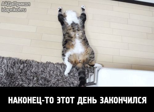 НАКОНЕЦ-ТО ЭТОТ ДЕНЬ ЗАКОНЧИЛСЯ