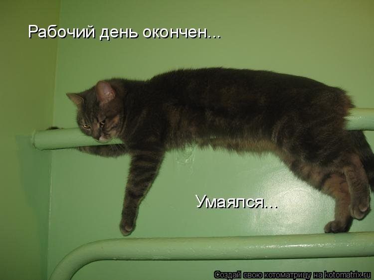 Рабочий день окончен...
Умался...