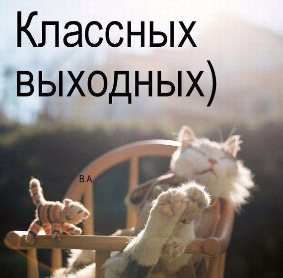 Классных выходных)