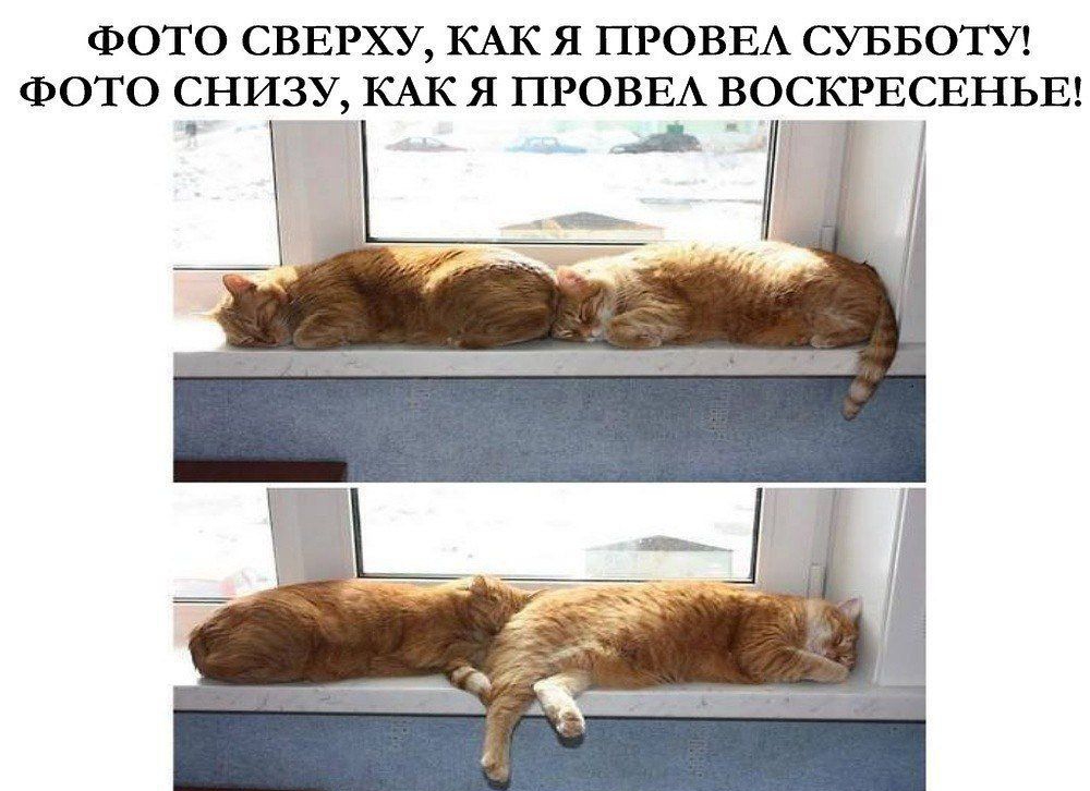 ФОТО СВЕРХУ, КАК Я ПРОВЕЛ СУББОТУ! ФОТО СНИЗУ, КАК Я ПРОВЕЛ ВОСКРЕСЕНЬЕ!