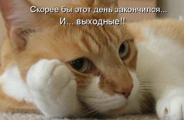 Скорее бы этот день закончился... И... выходные!!