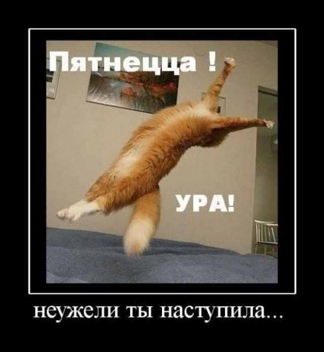 Пятница! УРА! неужели ты наступила...