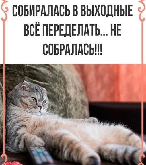 СОБИРАЛАСЬ В ВЫХОДНЫЕ ВСЁ ПЕРЕДЕЛАТЬ... НЕ СОБРАЛАСЬ!!!