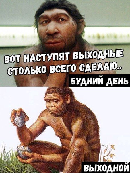 ВОТ НАСТУПЯТ ВЫХОДНЫЕ СТОЛЬКО ВСЕГО СДЕЛАЮ.. БУДНИЙ ДЕНЬ ВЫХОДНОЙ