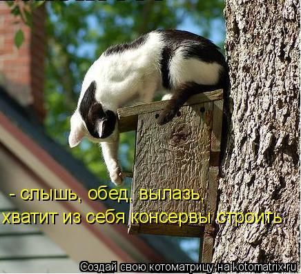 - слышь, обед, вылазь
хватит из себя консервы строить