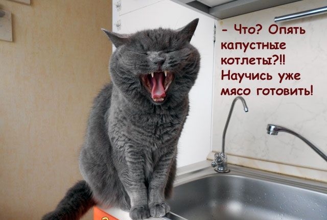– Что? Опять капустные котлеты?! Научись уже мясо готовить!