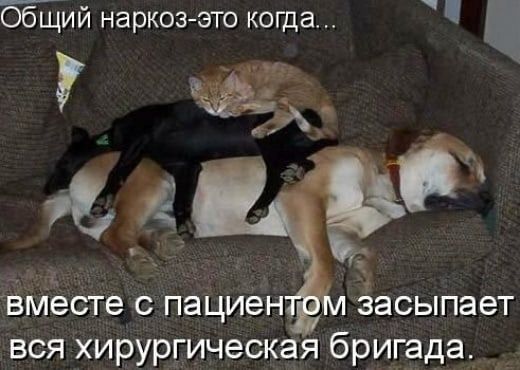 Общий наркоз-это когда... вместе с пациентом засыпает вся хирургическая бригада.
