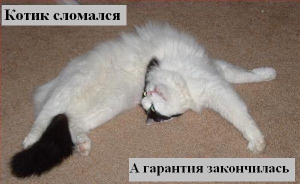 Котик сломался
А гарантия закончилась