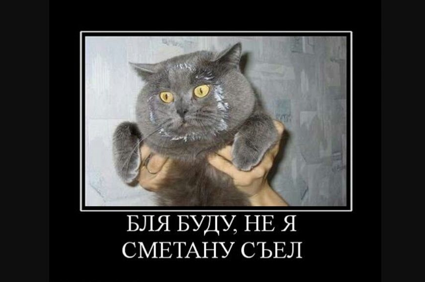 БЛЯ БУДУ, НЕ Я СМЕТАНУ СЪЕЛ