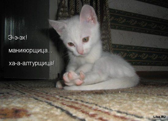 Э-э-э! маникорщица... ха-а-алтургщица!