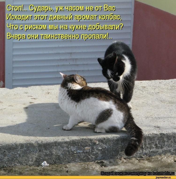 Стоп!.. Сударь, ужчасом не от Вас Исходит этот дивный аромат колбас, Что с риском мы на кухне добывали? Вчера они таинственно пропали!..