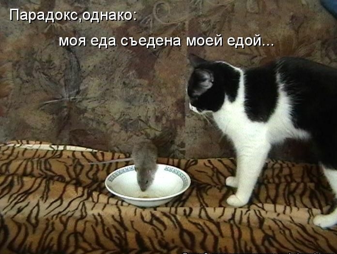Парадокс, однако:
моя еда съедена моей едой...