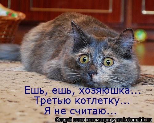 Ешь, ешь, хозюшка... Третью котлетку... Я не считаю...