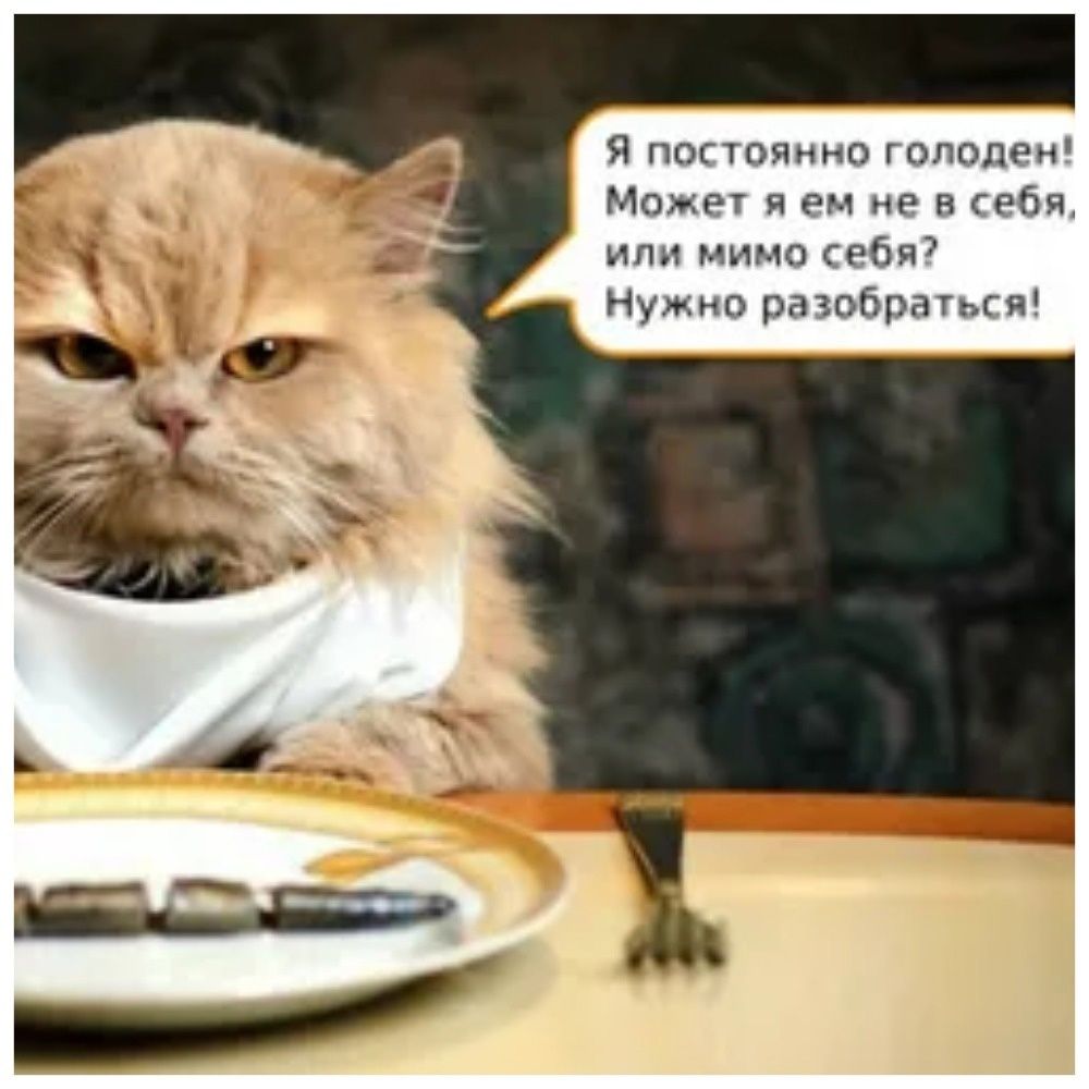Я постоянно голоден! Может я ем не в себя, или мимо себя? Нужно разобраться!
