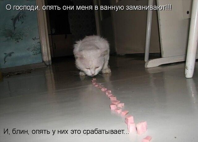 О господи, опять они меня в ванную заманивают!!! И, блин, опять у них это срабатывает..
