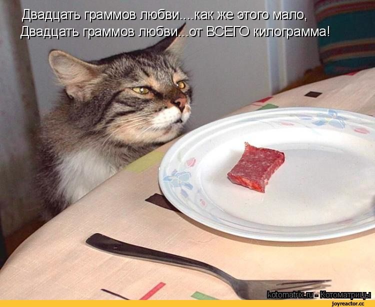 Двадцать граммов любви...как же этого мало, Двадцать граммов любви...от ВСЕГО килограмма!