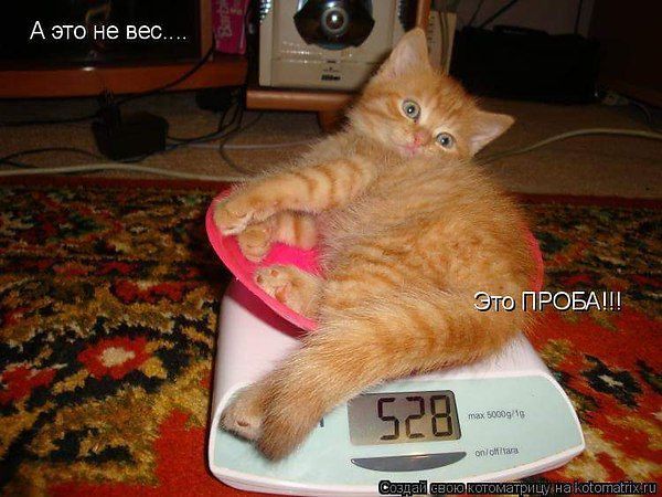 А это не вес.... Это ПРОБА!!!