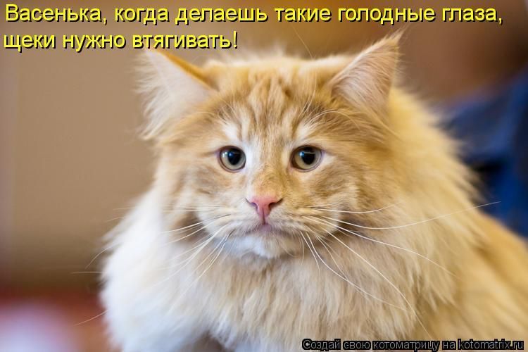 Весенька, когда делаешь такие голодные глаза, щёки нужно втягивать!