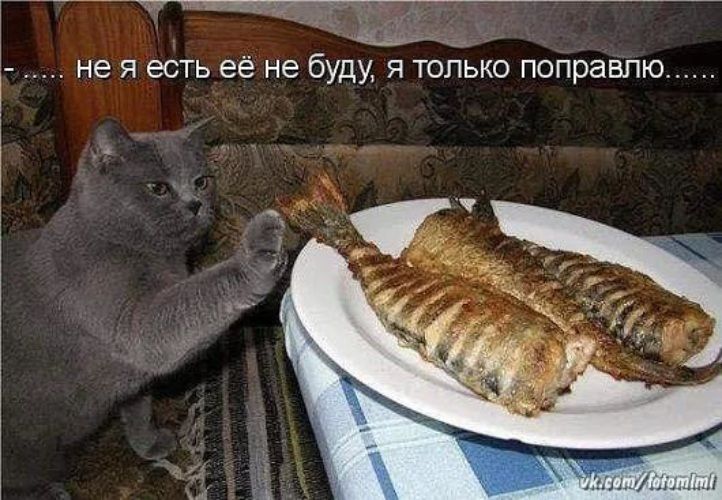 не я есть её не буду, я только поправлю......
