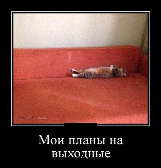 Мои планы на выходные