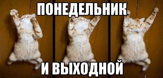 ПОНЕДЕЛЬНИК И ВЫХОДНОЙ