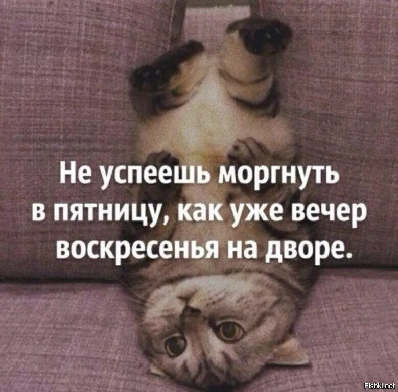 Не успеешь моргнуть в пятницу, как уже вечер воскресенья на дворе.