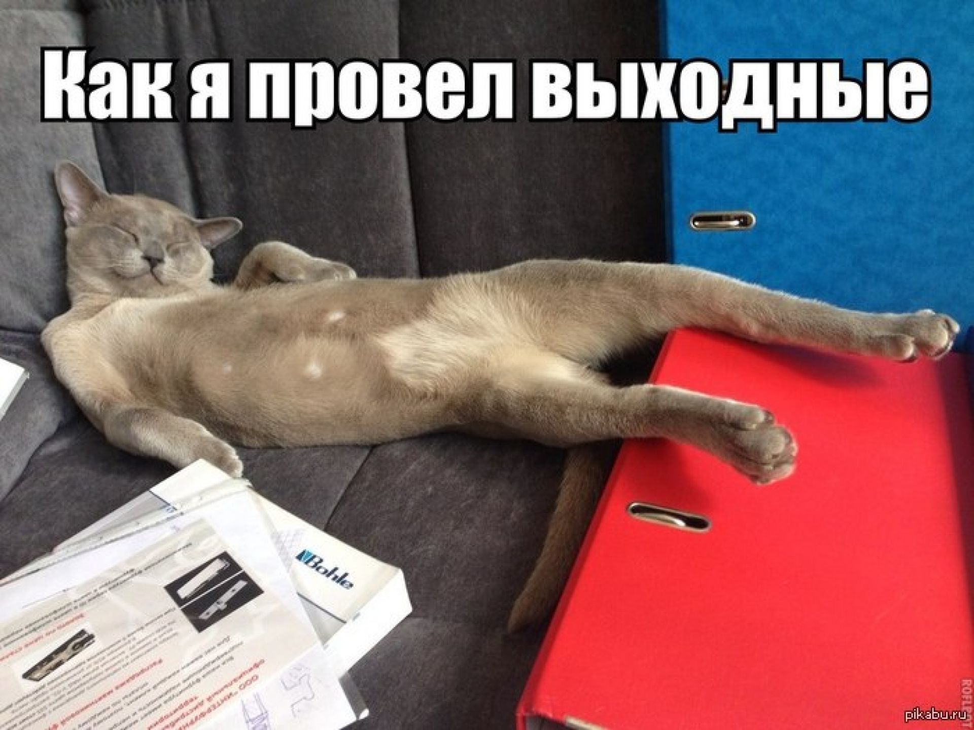 Как я провел выходные