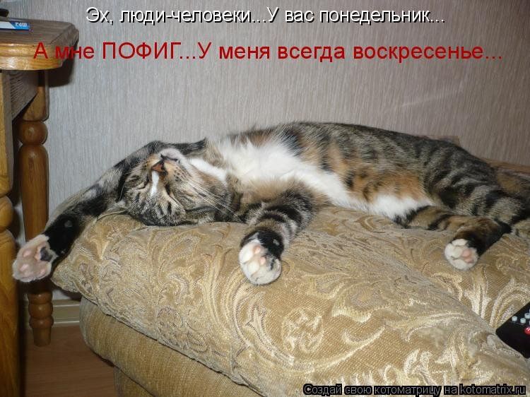 Эх, люди-человеки... У вас понедельник... А мне ПОФИГ... У меня всегда воскресенье...