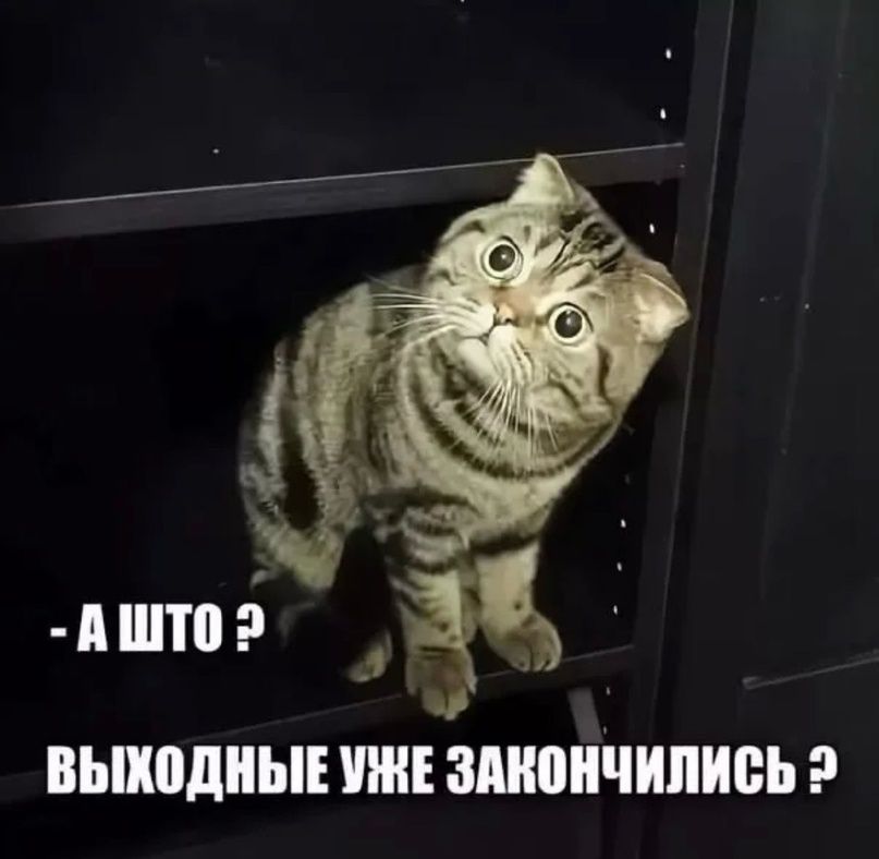 - А что? ВЫХОДНЫЕ УЖЕ ЗАКОНЧИЛИСЬ?