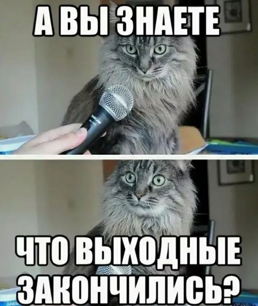 А ВЫ ЗНАЕТЕ ЧТО ВЫХОДНЫЕ ЗАКОНЧИЛИСЬ?