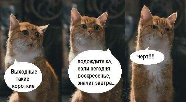 Выходные такие короткие
подождите-ка, если сегодня воскресенье, значит завтра...
черт!!!!!